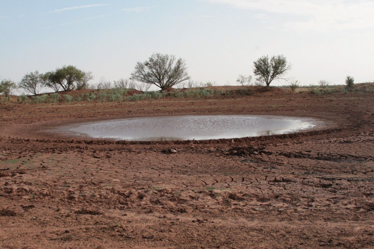 Pond Drought
